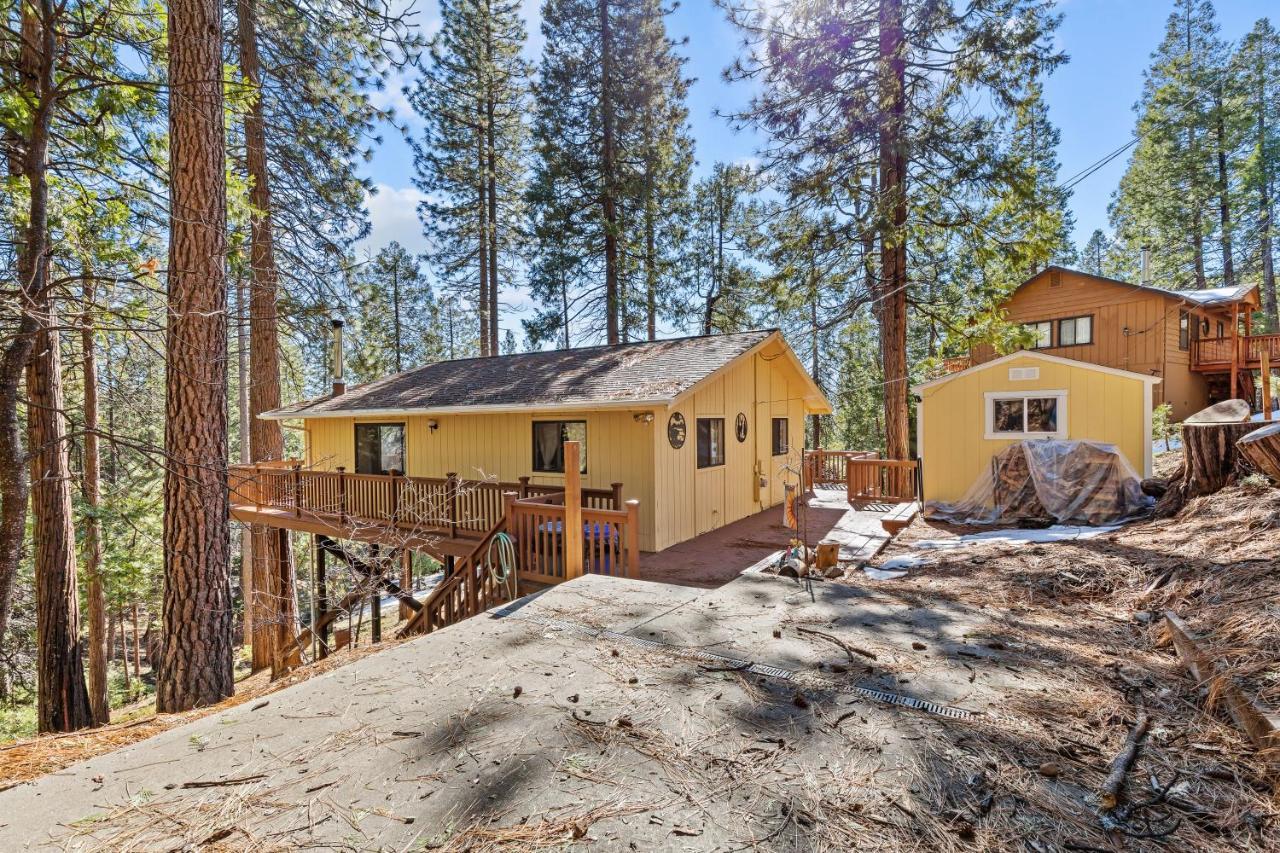 Big Trees, Little Cabin Arnold Exterior foto