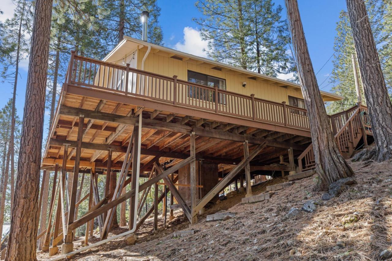 Big Trees, Little Cabin Arnold Exterior foto